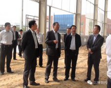 滕州市委書記董沂峰一行蒞臨山東三維重工項目現場視察