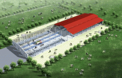 新西蘭標(biāo)準(zhǔn)養(yǎng)牛場輕鋼結(jié)構(gòu)廠房項目